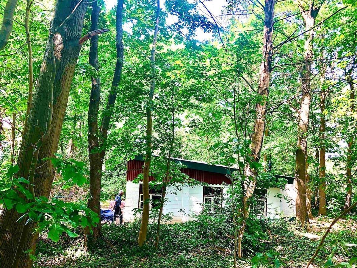 Holiday Home in Beesel, Limburg