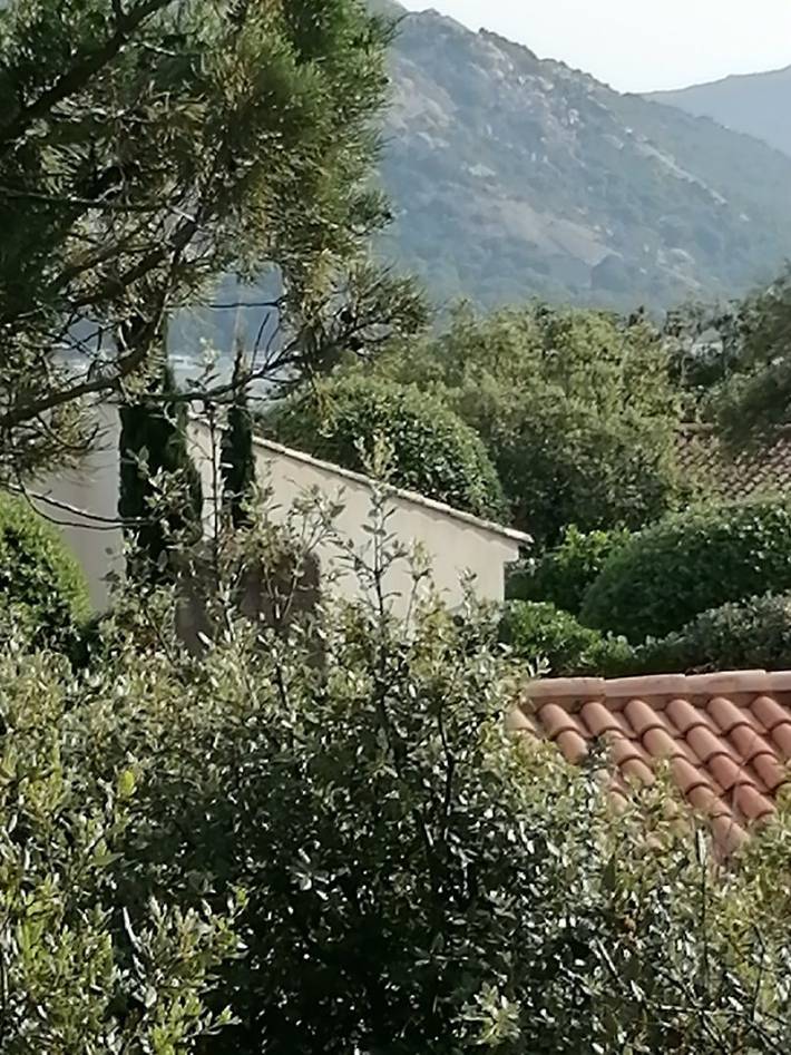 Gîte pour 2 personnes, avec jardin et terrasse à Porto-Vecchio - 4