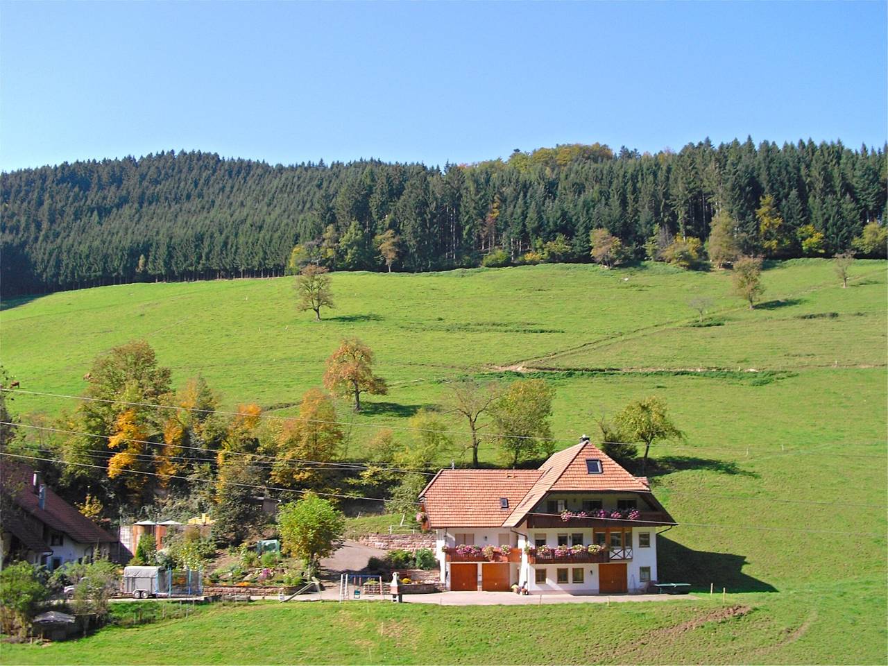 Ganze Wohnung, Ruhiges Bauernhaus, Hofstetten in Hofstetten, Mittlerer Schwarzwald