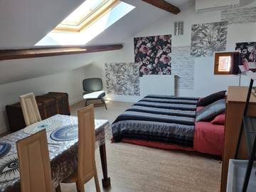 Chambre d’hôte pour 4 personnes, avec jacuzzi ainsi que piscine et jardin à Oullins