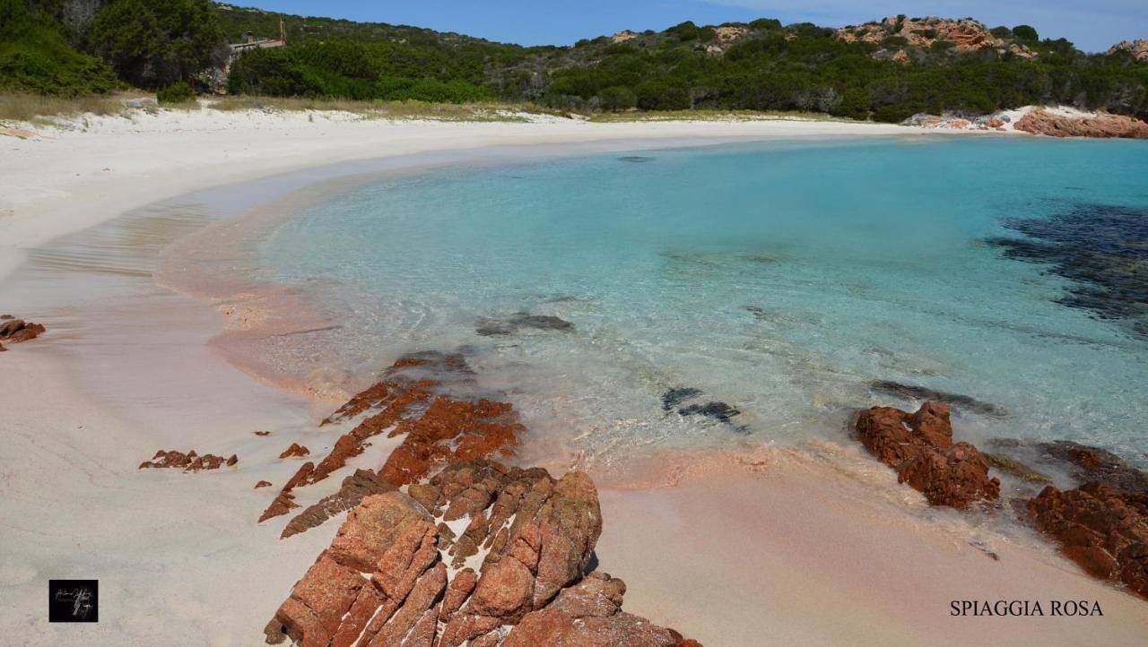 La Fonte dell'ulivo 3 in Parco Nazionale dell'Arcipelago di La Maddalena, La Maddalena