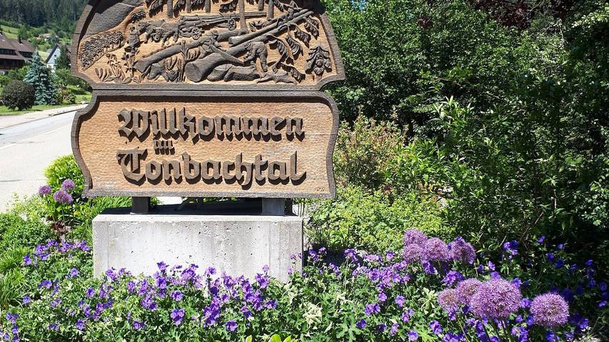 Gîte pour 3 personnes, avec piscine ainsi que balcon et sauna, animaux acceptés à Baiersbronn - 2