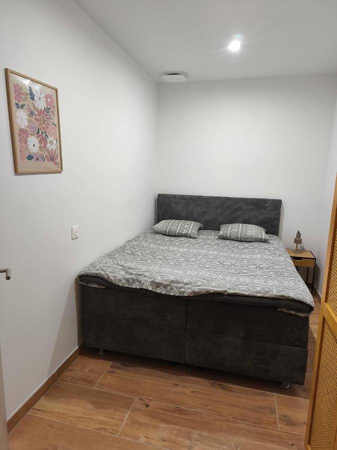 Maison d’hôte pour 5 personnes, avec jacuzzi, animaux acceptés à Colmar - 2