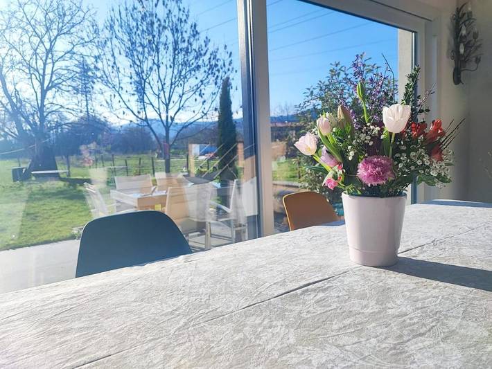 Chambre d’hôte pour 2 personnes, avec vue et jardin à Wintzenheim