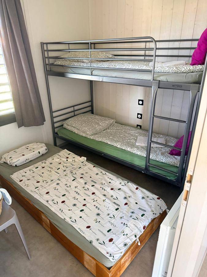 Parc de vacances pour 4 personnes, avec jardin ainsi que vue et piscine à Saubrigues - 2