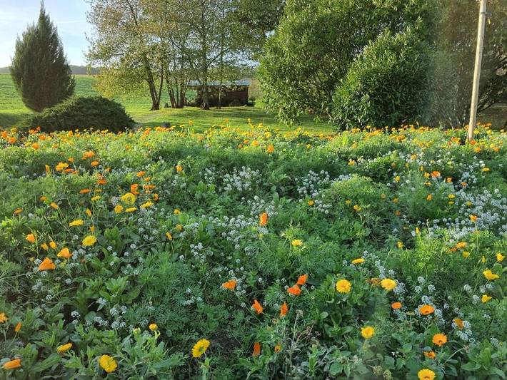 Location de vacances pour 2 personnes, avec jardin et vue à Châtillon-sur-Marne - 2