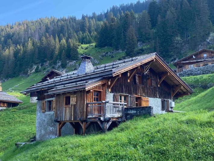 Chalet pour 11 personnes, avec terrasse et jardin à Montriond - 2