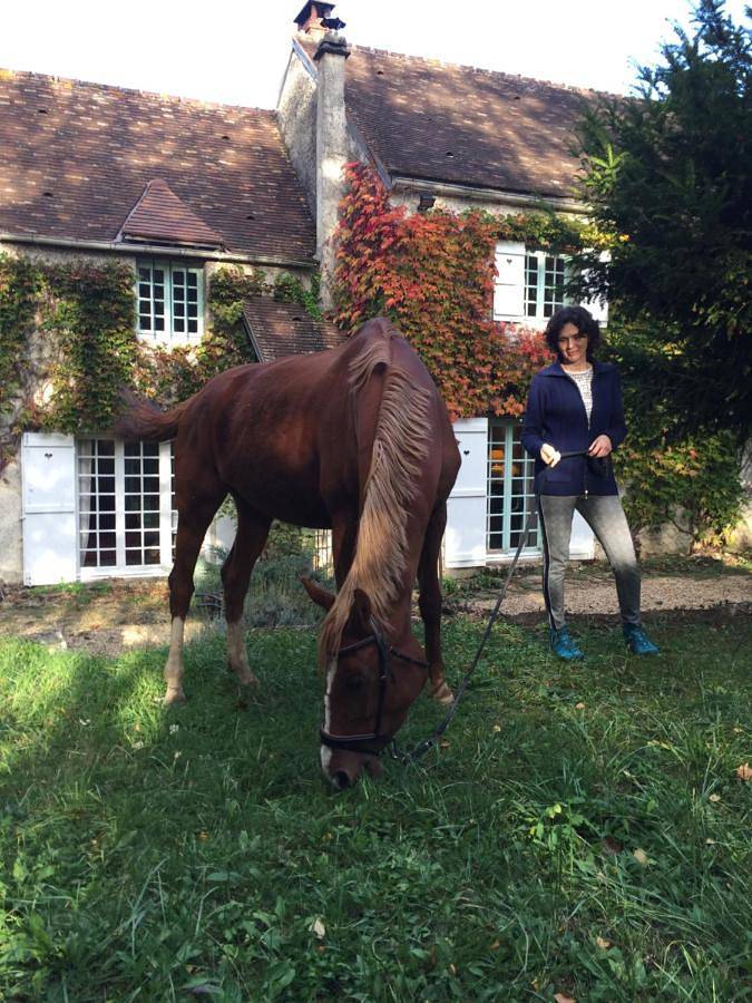 Chambre d’hôte pour 2 personnes, avec vue et terrasse, animaux acceptés dans Essonne - 3