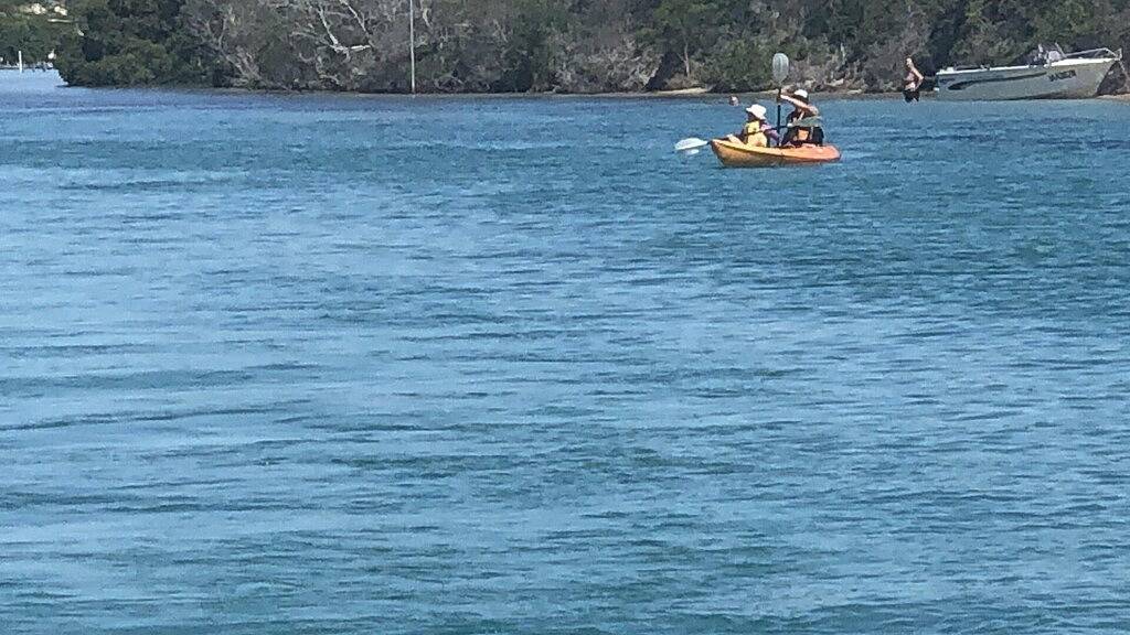 Ganze Wohnung, Albert Court 8 - Acrpss vom Wallis Lake! in Forster, New South Wales