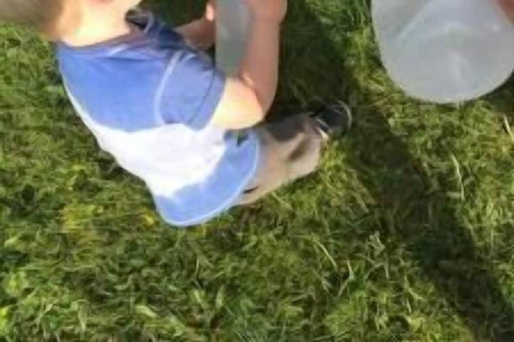 Agriturismo für 4 Personen in Kröpelin