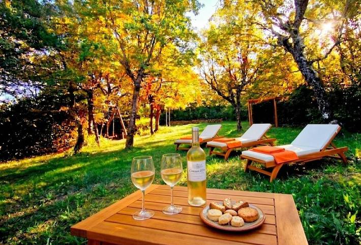 Location de vacances pour 11 personnes, avec jardin ainsi que vue et piscine, animaux acceptés à Piolenc - 4