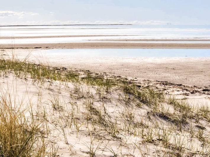 Ferienhaus für 6 Personen, mit Terrasse auf Læsø - 4