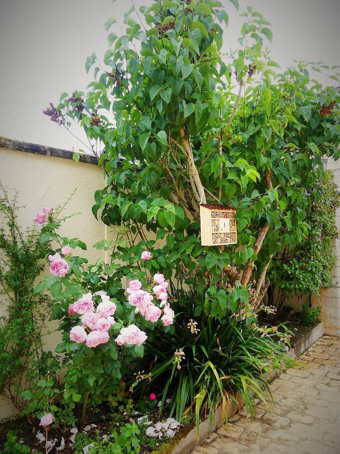 Chambre d’hôte pour 2 personnes, avec jardin ainsi que piscine et vue à Caen - 4