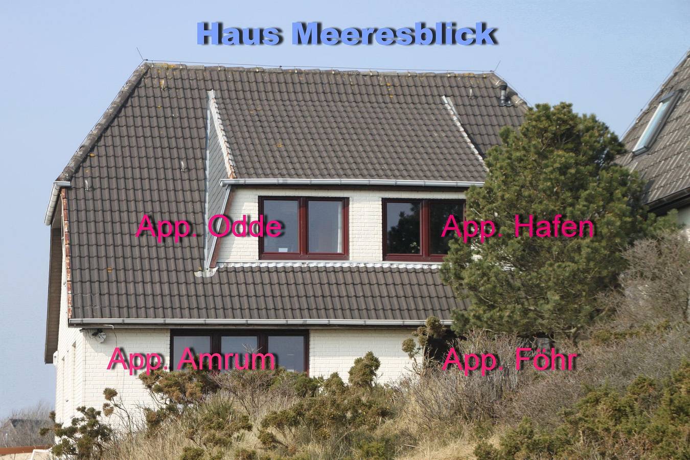 Ganze Ferienwohnung, App. Odde, Hörnum in Hörnum, Sylt