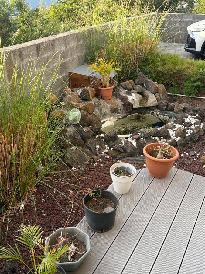 Location de vacances pour 3 personnes, avec vue et balcon ainsi que piscine et jardin à La Possession - 3