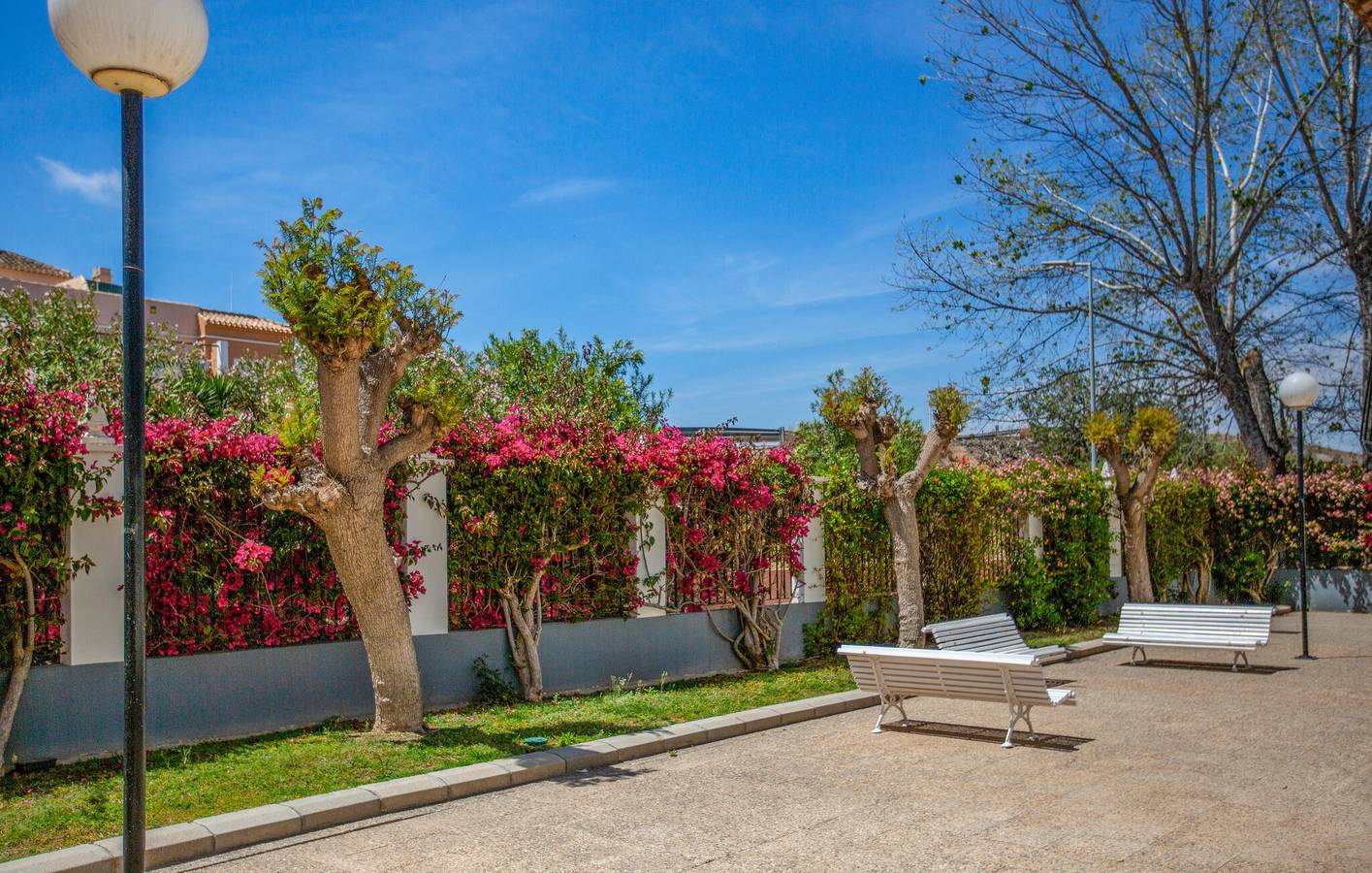 Entire holiday apartment, Cozy Beachside Apartment: Air Con, Pool, Terrace, Internet in Mar Azul Torrevieja, Torrevieja