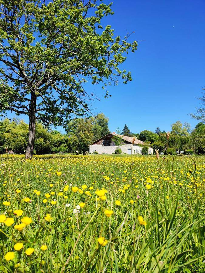 Gîte pour 7 personnes, avec jardin et piscine à Lauzerte - 2