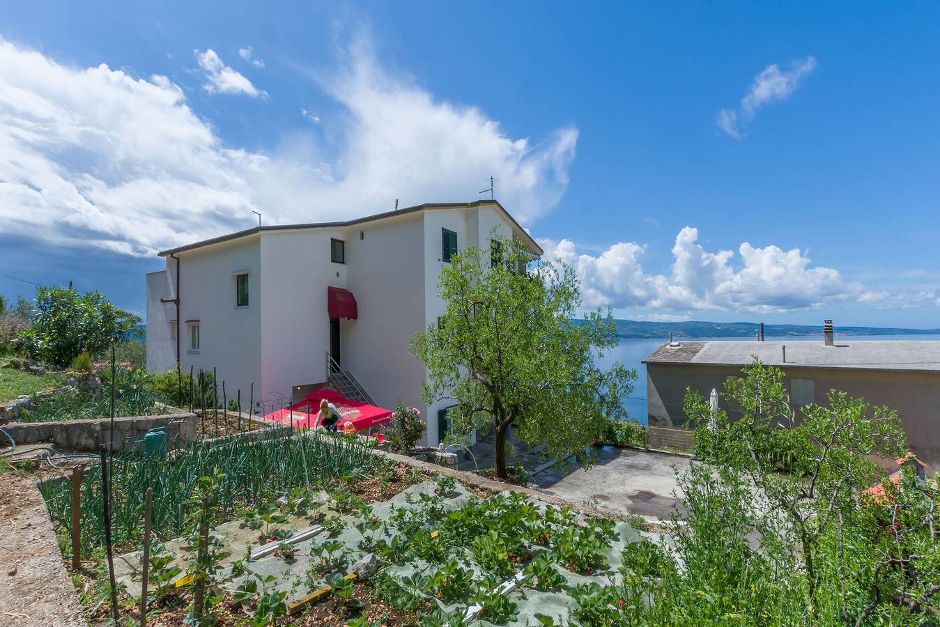 Ganze Wohnung, Apartments Jasna in Omiš (Kroatische Adria), Omis
