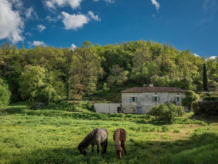 Location de vacances pour 4 personnes, avec terrasse ainsi que piscine et jardin à Castelnau-Montratier - 2
