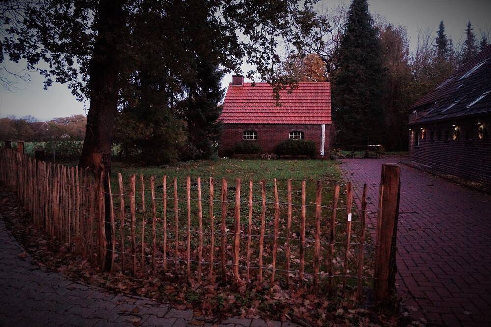 Großes Ferienhaus in herrlicher Alleinlage im südlichen Ostfriesland — Bild 5