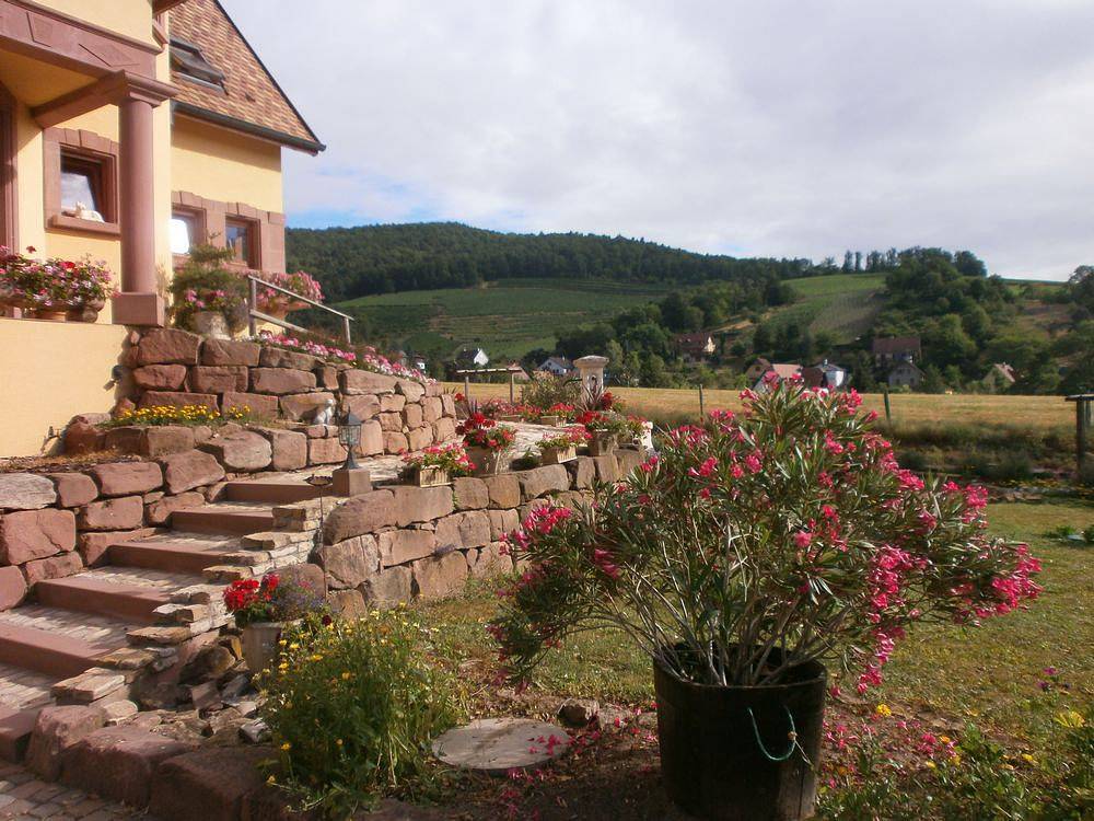 Chambre d'hôte de la Châtelaine - Chambre Pinot Noir in Walbach, Parc naturel régional des Ballons des Vosges