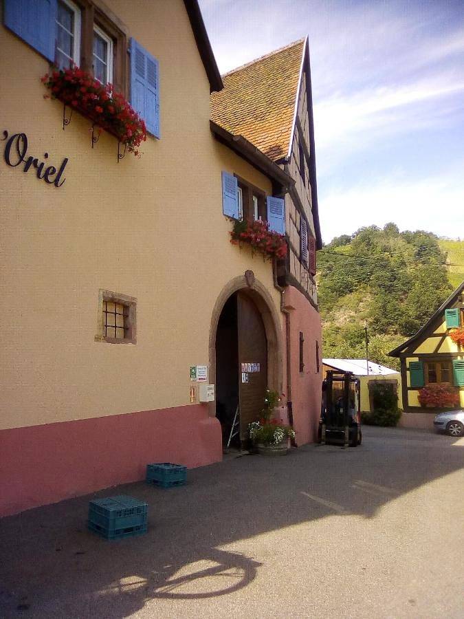 Gîte pour 3 personnes, avec jardin à Niedermorschwihr - 4