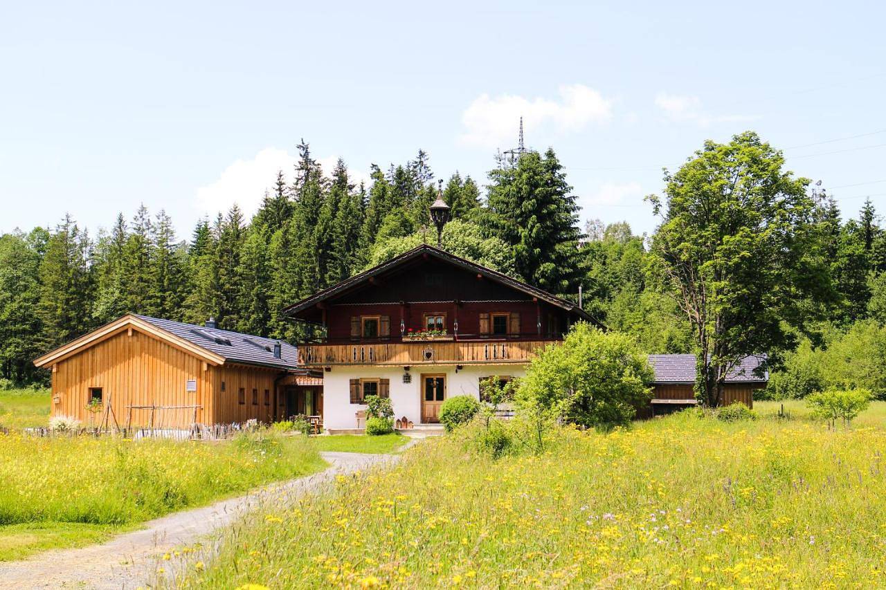 Going Artenreich in Going am Wilden Kaiser, Kaisergebirge