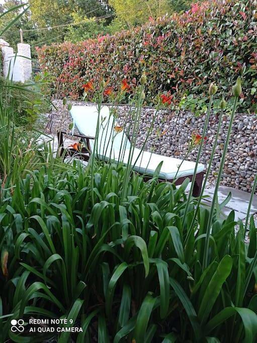 Chalet para 9 personas, con jardín además de vistas y piscina en Comarca de Vigo - 4