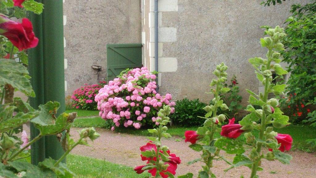 Chambres d'hôtes "Couleurs et Saveurs" - Suite Anis in Cheillé, Vallée de la Loire