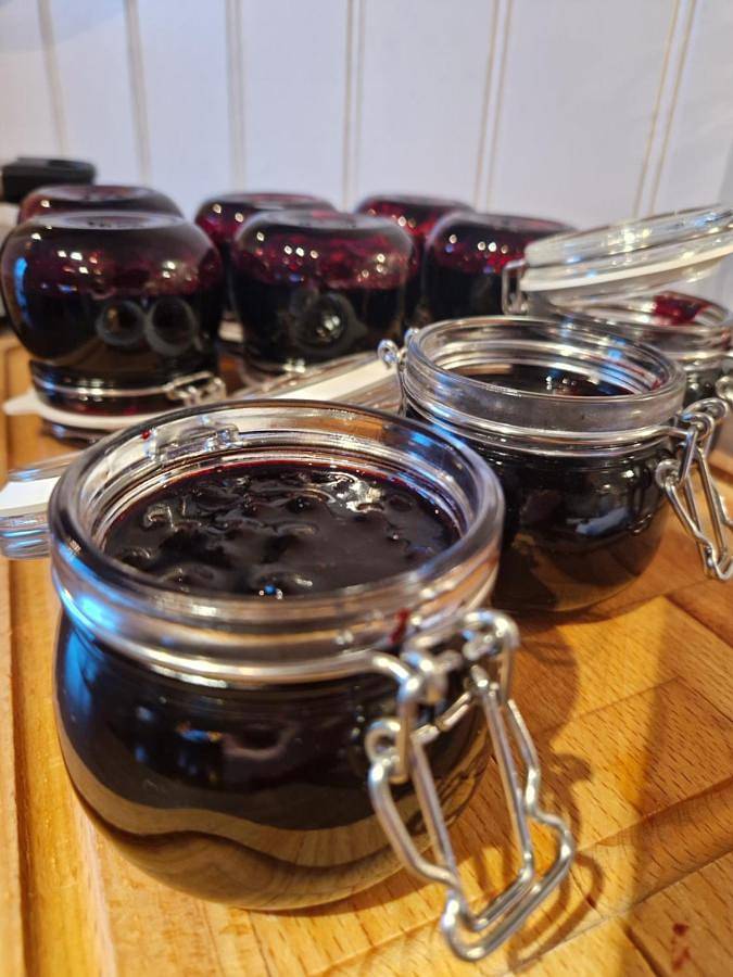 Lodge für 4 Personen, mit Garten und Whirlpool sowie Sauna in Finnmark - 3