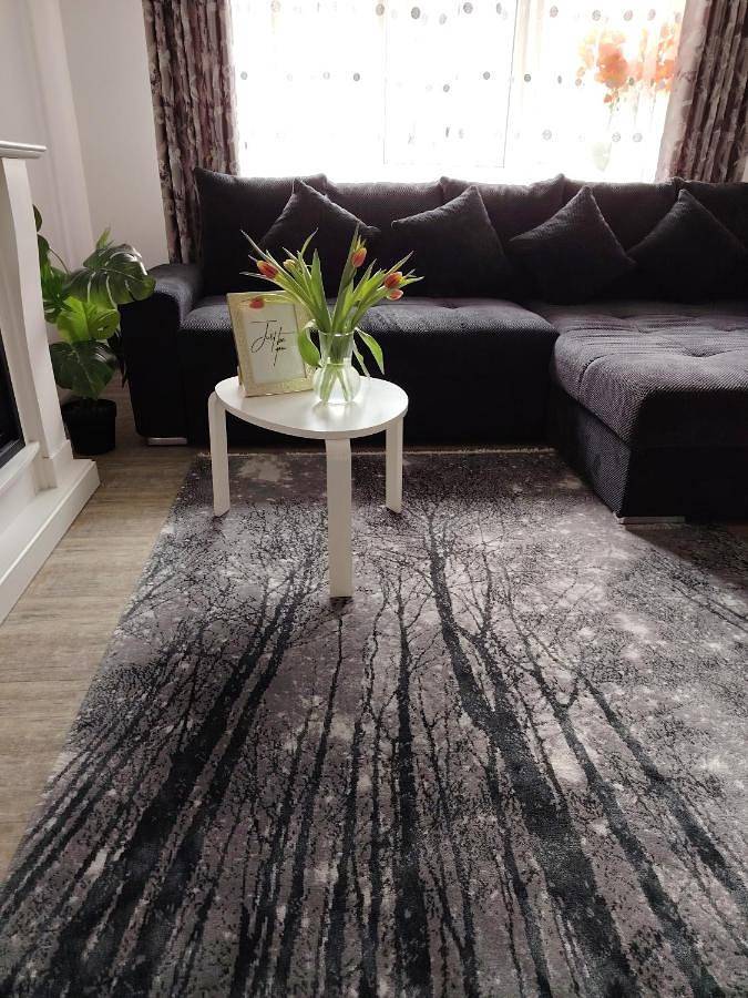 Gîte pour 4 personnes dans Câmpina