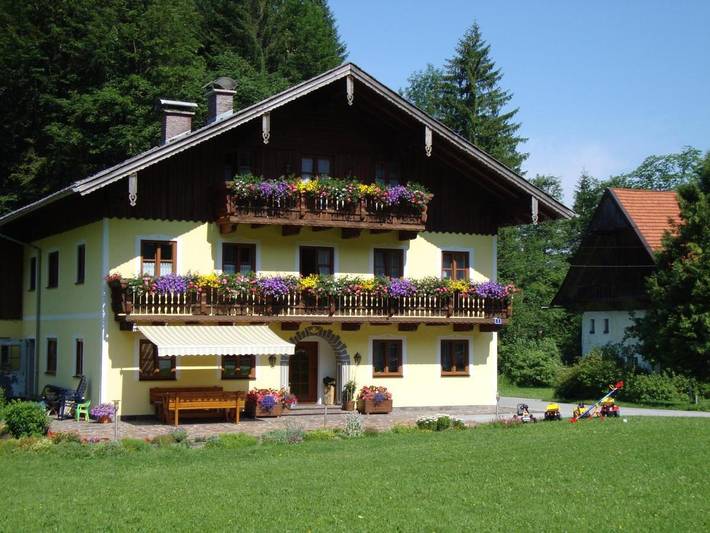 Ferienwohnung für 4 Personen, mit Garten und Ausblick in Faistenau - 3