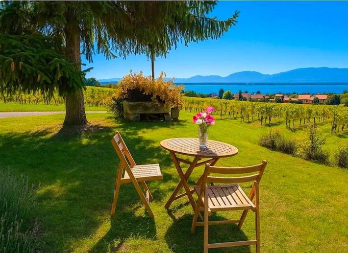 Gîte pour 3 personnes, avec vue ainsi que vue sur le lac et jardin dans Etoy