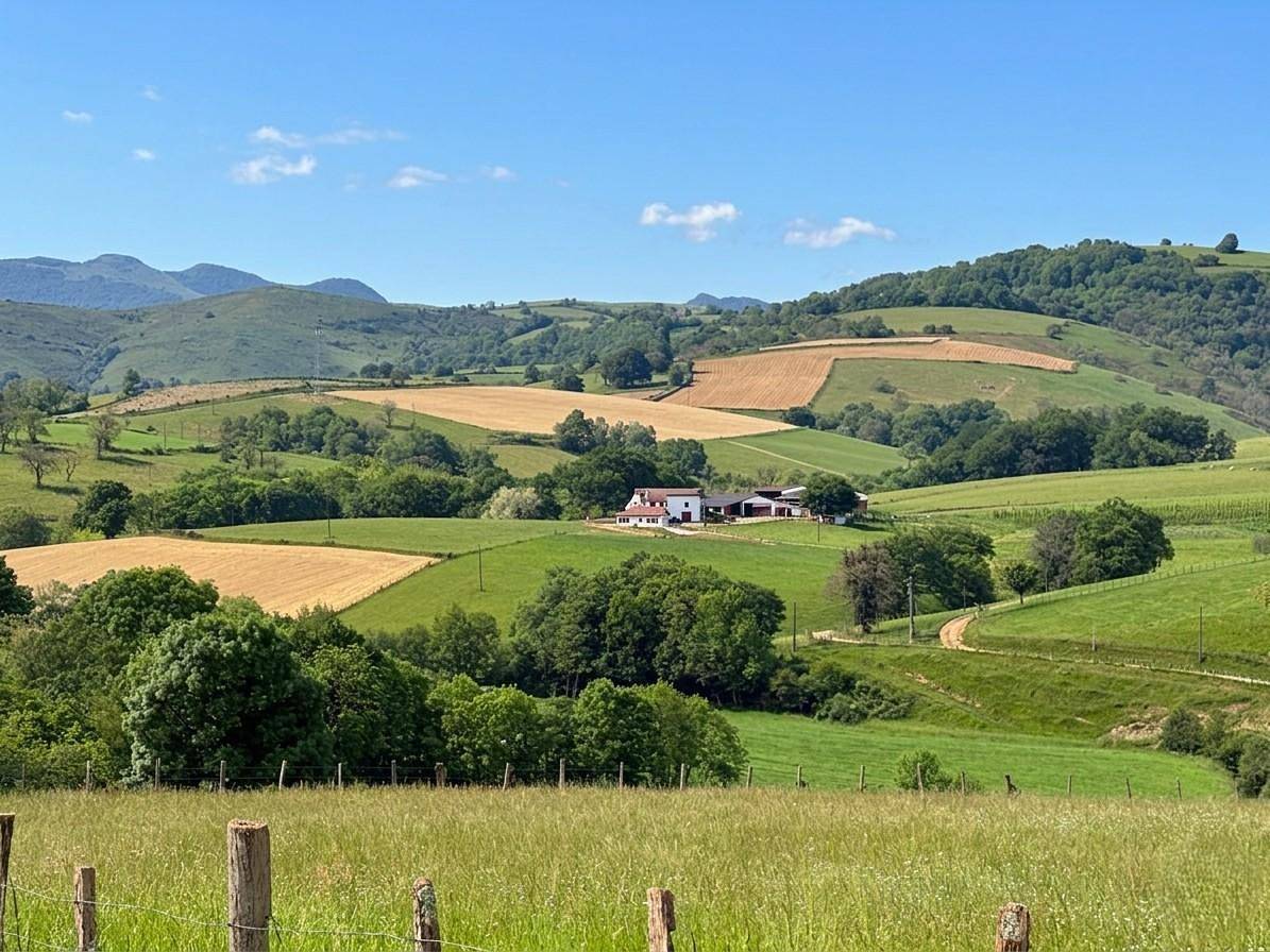 Eyhegaya in Ordiarp, Région d'Oloron-Sainte-Marie