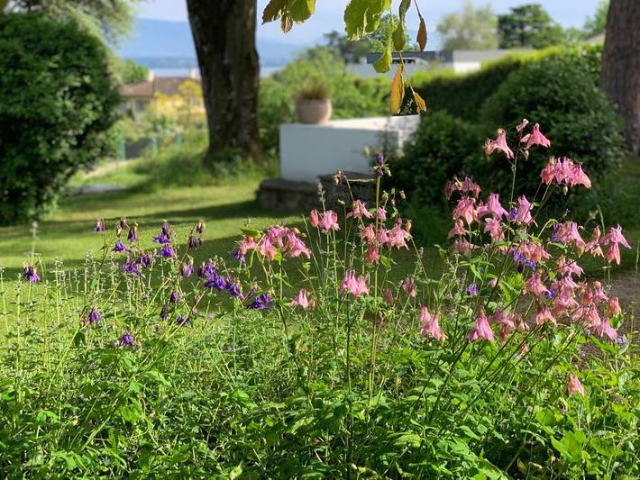 Gîte pour 3 personnes, avec piscine et jardin ainsi que vue et vue sur le lac à Nyon - 4