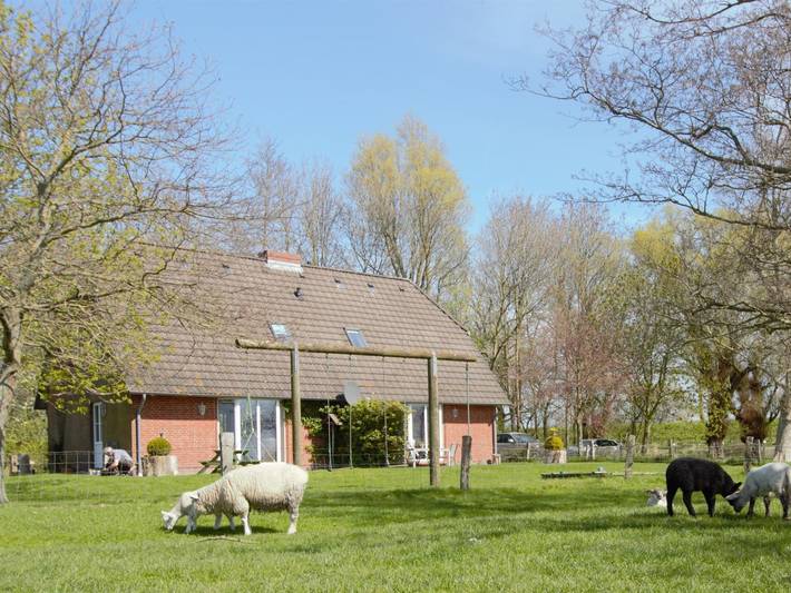 Ganze Ferienwohnung, Ferienhaus Sattler in Friedrichstadt, Eider-Treene-Sorge