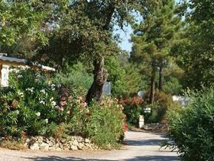 Domaine De La Bergerie - Mobilheim 4 personen - Privilège A - 2 Schlafzimmer - 4 Personen in Roquebrune-sur-Argens, Mittelmeerküste (Frankreich)