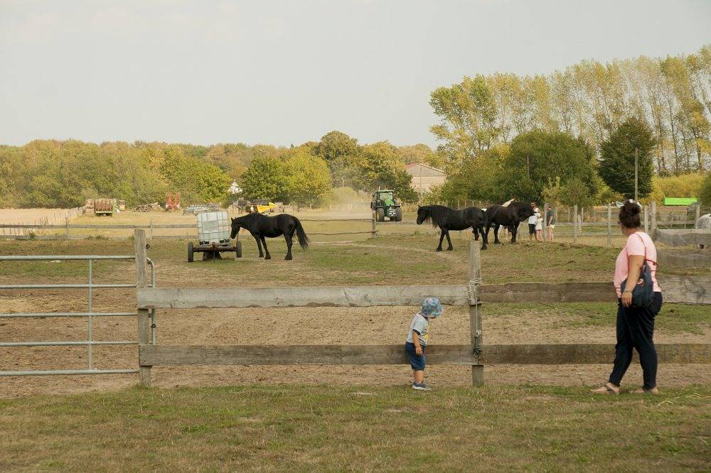 Ferienhof Willi - Fewo 2 im Eg links in Brünzow, Vorpommern