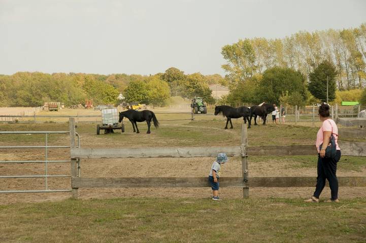 Bauernhof für 8 Personen, mit Terrasse am Greifswalder Bodden - 3