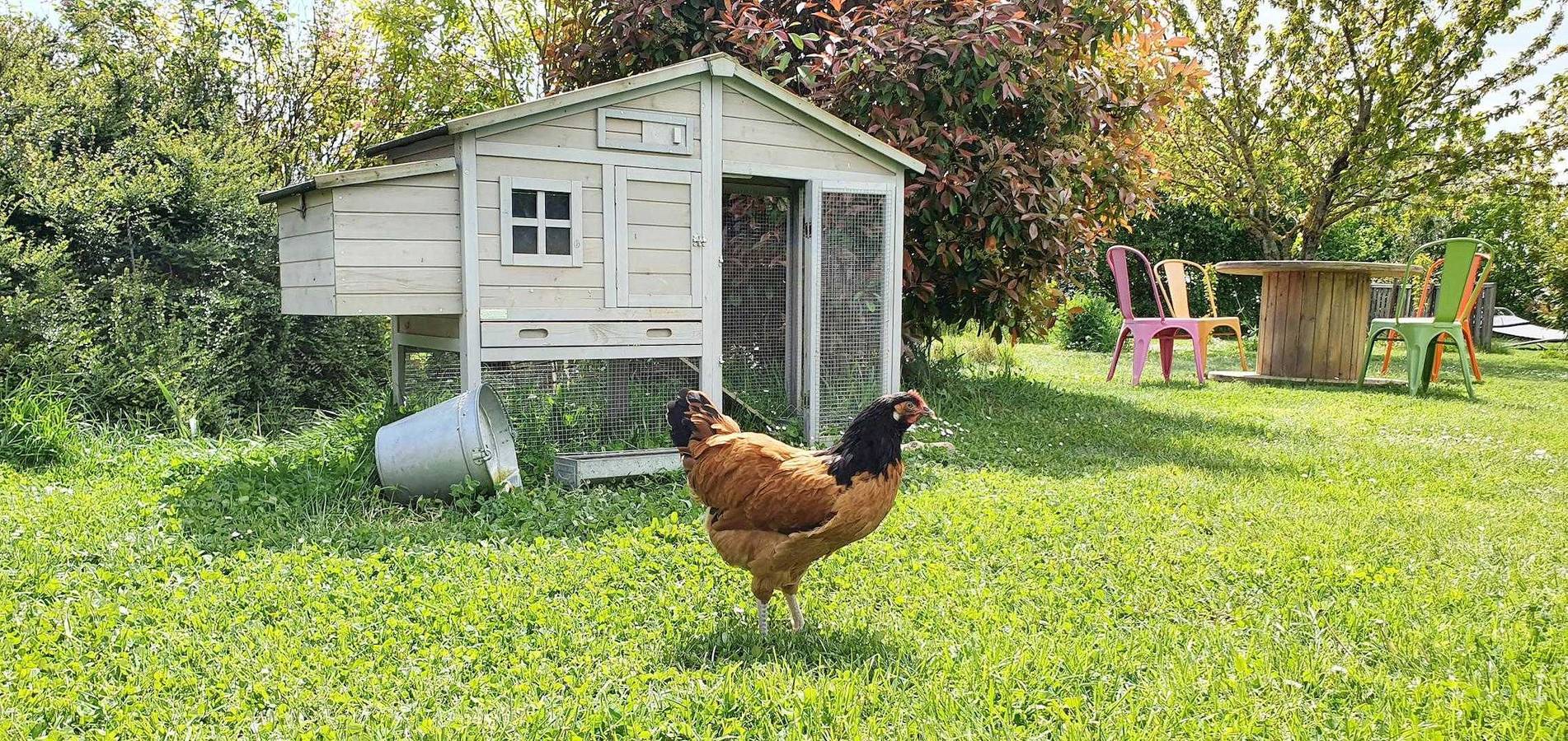 Cabane in Champmotteux, Parc naturel régional du Gâtinais français