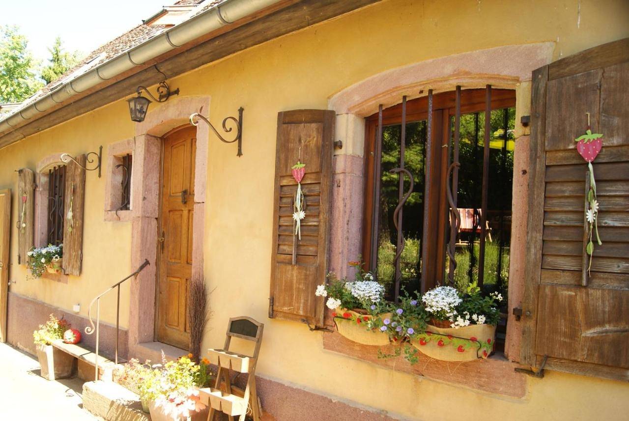 Gîte du Thalala in Bernardvillé, Région de Sélestat-Erstein