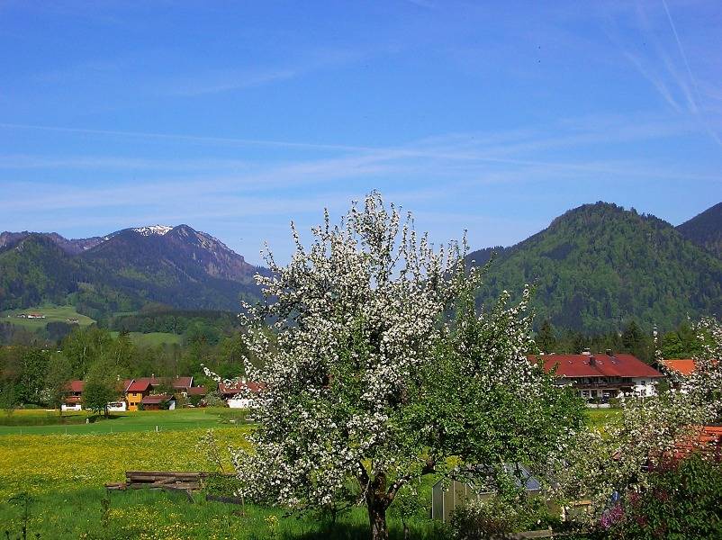 Ganze Ferienwohnung, Landhaus Heinrich inkl. Chiemgaukarte - Ii. Ferienwohnung 57qm, Terrasse, 1 Schlafzimmer, 1 Wohnschlafz., Hochfellnblick in Ruhpolding, Bayerische Alpen
