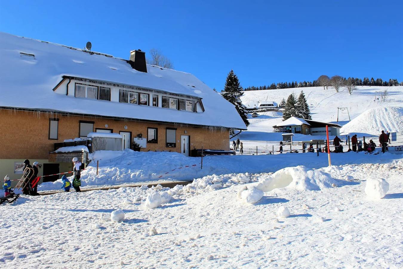 Ferienhaus 'Sport Rees - 7 Fewo Eventraum' mit Bergblick, privater Terrasse & Wlan in Hofsgrund, Oberried