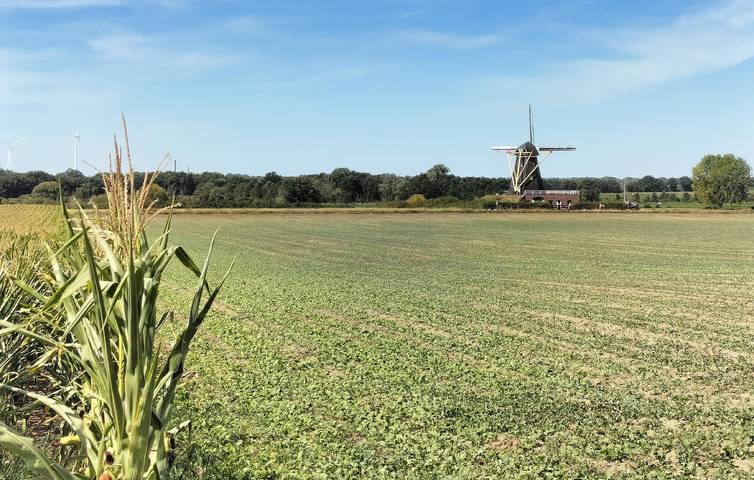 Ferienhaus für 8 Personen mit Garten in Beesel, Limburg (Niederlande)