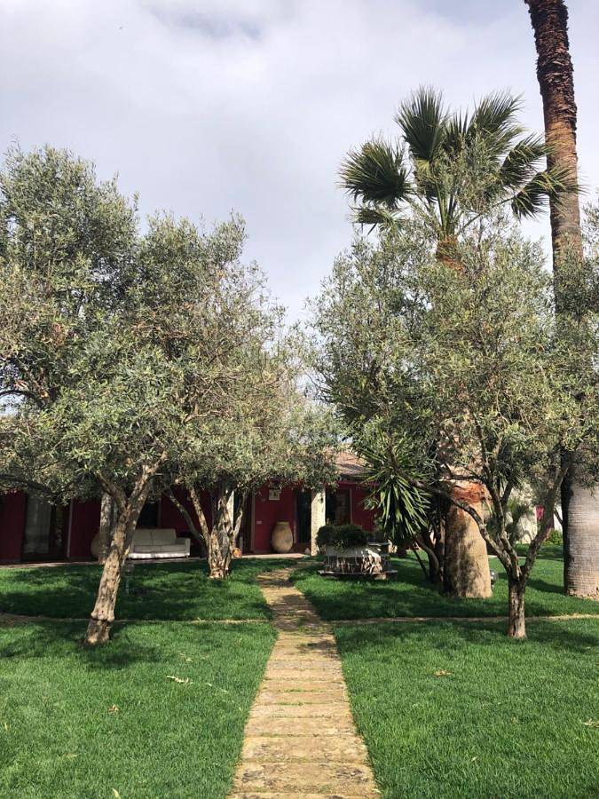 Location de vacances pour 2 personnes, avec jardin et terrasse, animaux acceptés à Cabras - 3