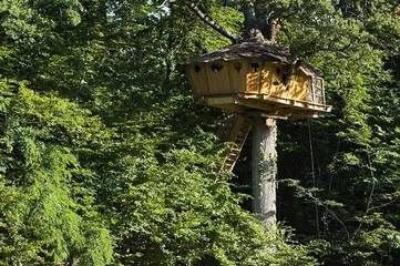 Camping pour 4 Personnes dans Sainte-Catherine-de-Fierbois, Région de Chinon, Photo 2