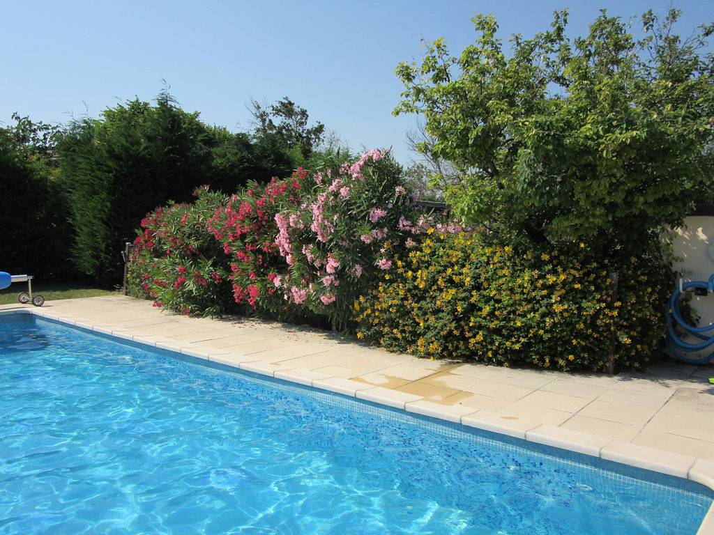 Maison Iris - Chambre in Villeneuve-lès-Montréal, Région de Carcassonne