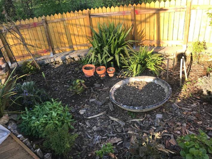 Appartement de vacances pour 2 personnes, avec jardin, animaux acceptés dans les Deux-Sèvres - 3