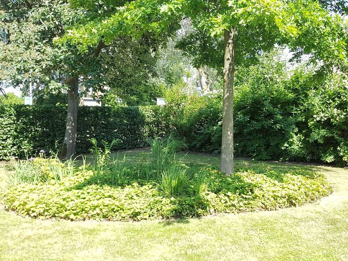 Ferienhaus für 4 Personen, mit Terrasse und Garten, kinderfreundlich in Börgerende-Rethwisch - 4