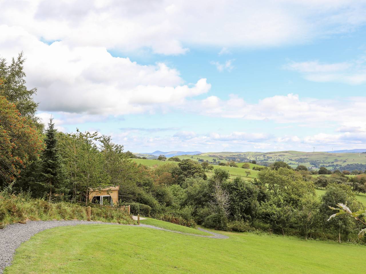 Woodland Pod in Conwy region